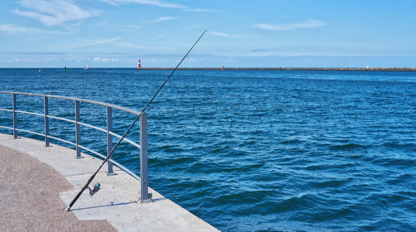 Rügens Gewässer sind reich an verschiedenen Fischarten. © Shutterstock, DR pics