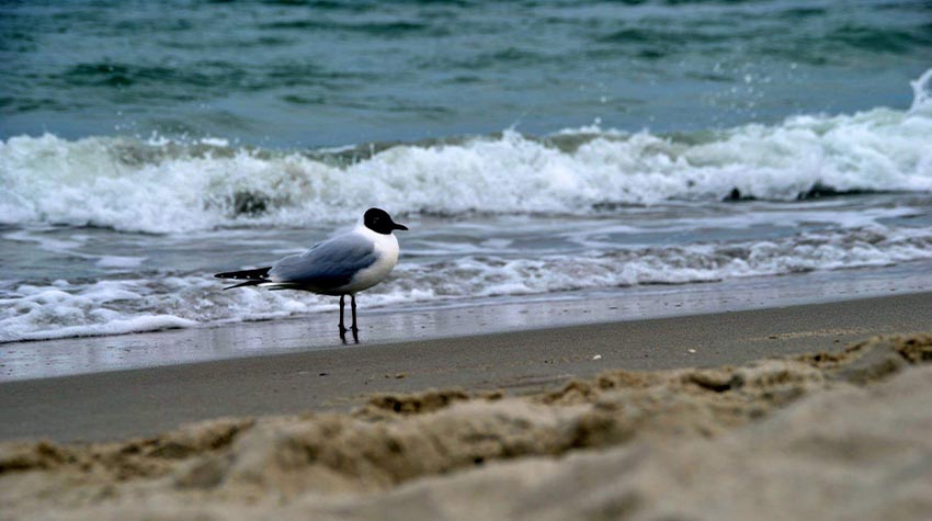 Ein kaltes Bad in der Ostsee tut nicht nur der Haut gut, es gibt euch auch einen super Energie Schub.