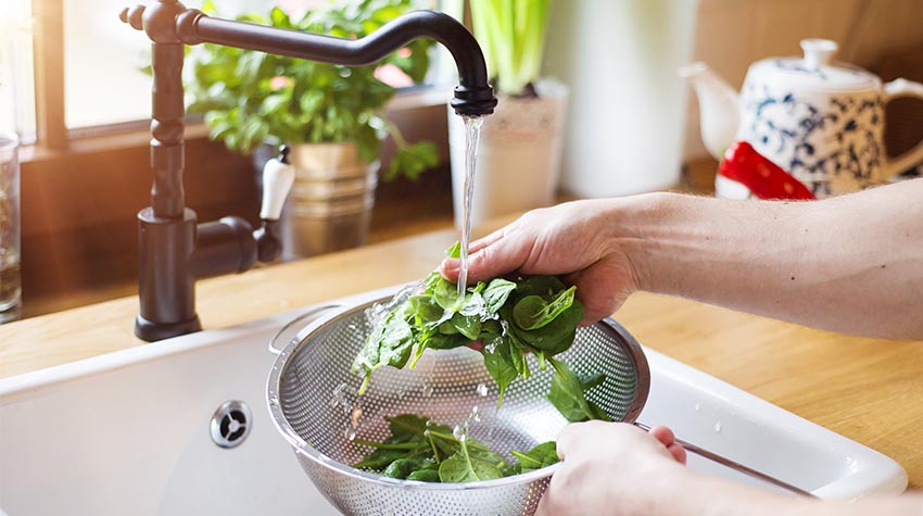 Durch das Waschen entfernt ihr Dreck und Insekten sowie Bakterien von euren Kräutern. © Shutterstock, Halfpoint