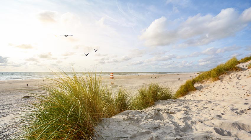 Die Ostseeluft ist besonders gesund für den Körper. © Shutterstock, PIXEL to the PEOPLE