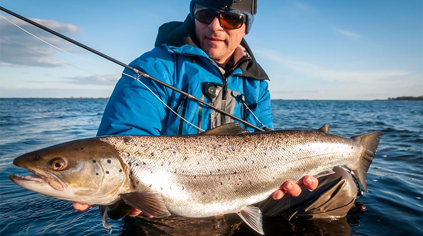 Die Meerforelle fischt man am besten in kalten Jahreszeiten. © Shutterstock, Piotr Wawrzyniuk