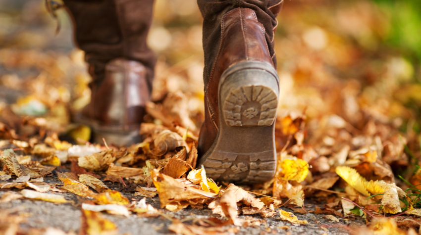 Ein Herbstspaziergang wirkt sich positiv auf Körper und Geist aus. © Adobe Stock, contrastwerkstatt