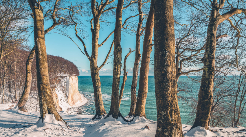 Einen Spaziergang entlang der Kreidefelsen solltet ihr euch im Winter auf keinen Fall entgehen lassen. © Adobe Stock, Mirko Boy