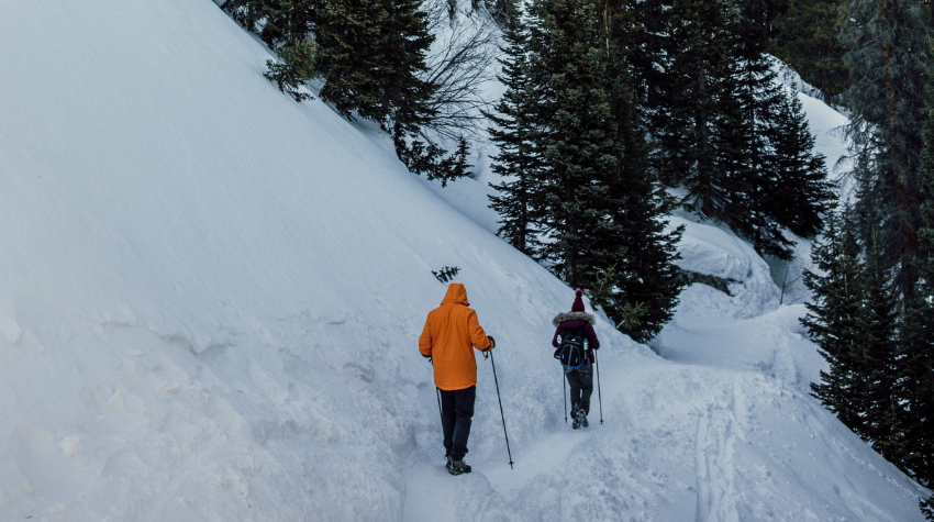 Auch für Anfänger eignet sich Schneeschuhwandern hervorragend. © Unsplash, Katie Moum