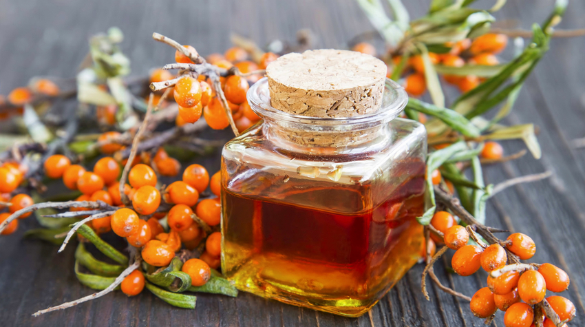 Sanddorn ist ein Superfood mit vielen gesunden Inhaltsstoffen. © Shutterstock, catalina.m