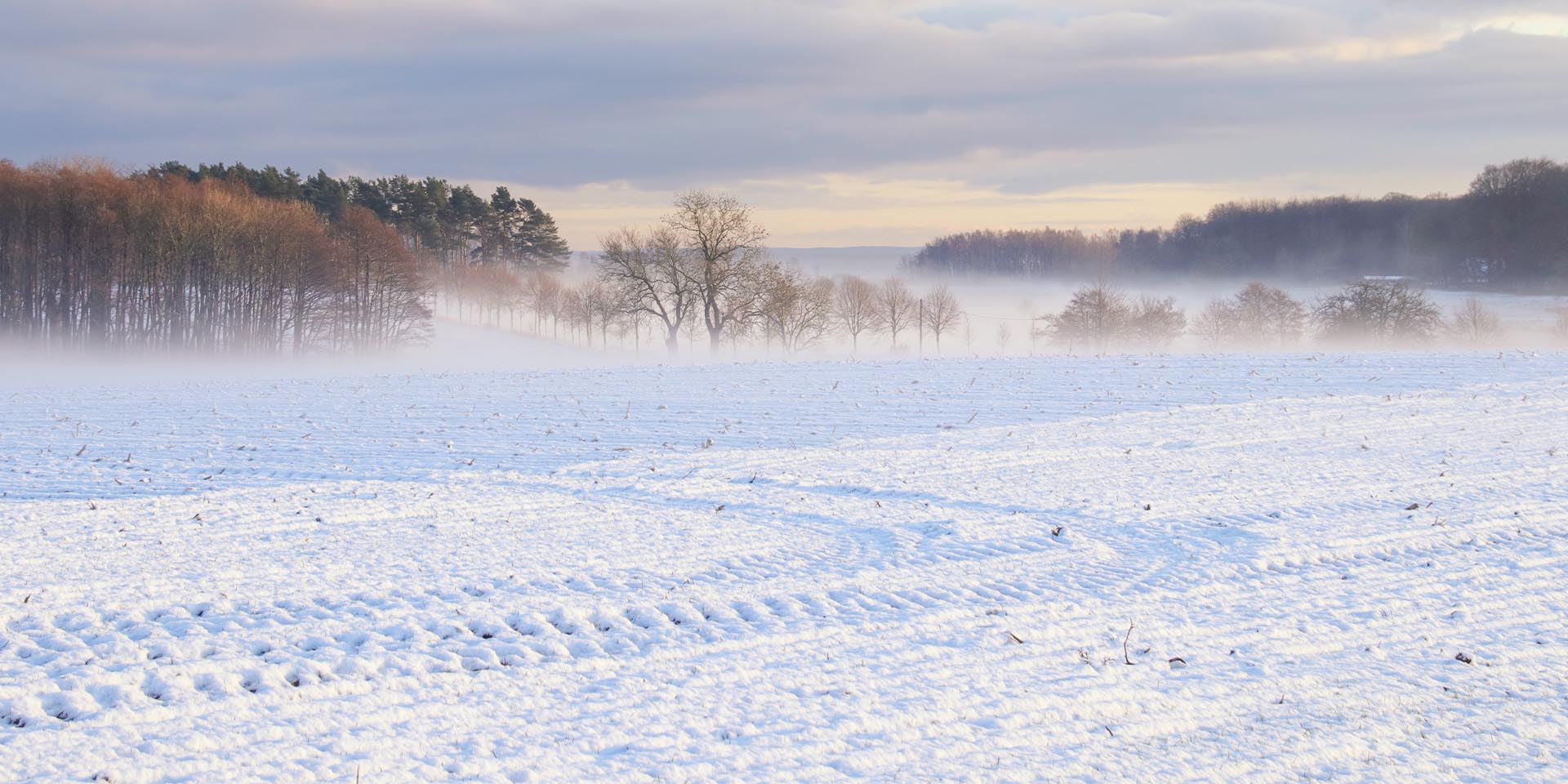 Weiße Weihnachten: Was gibt es Schöneres? © Shutterstock, Ina Meer Sommer