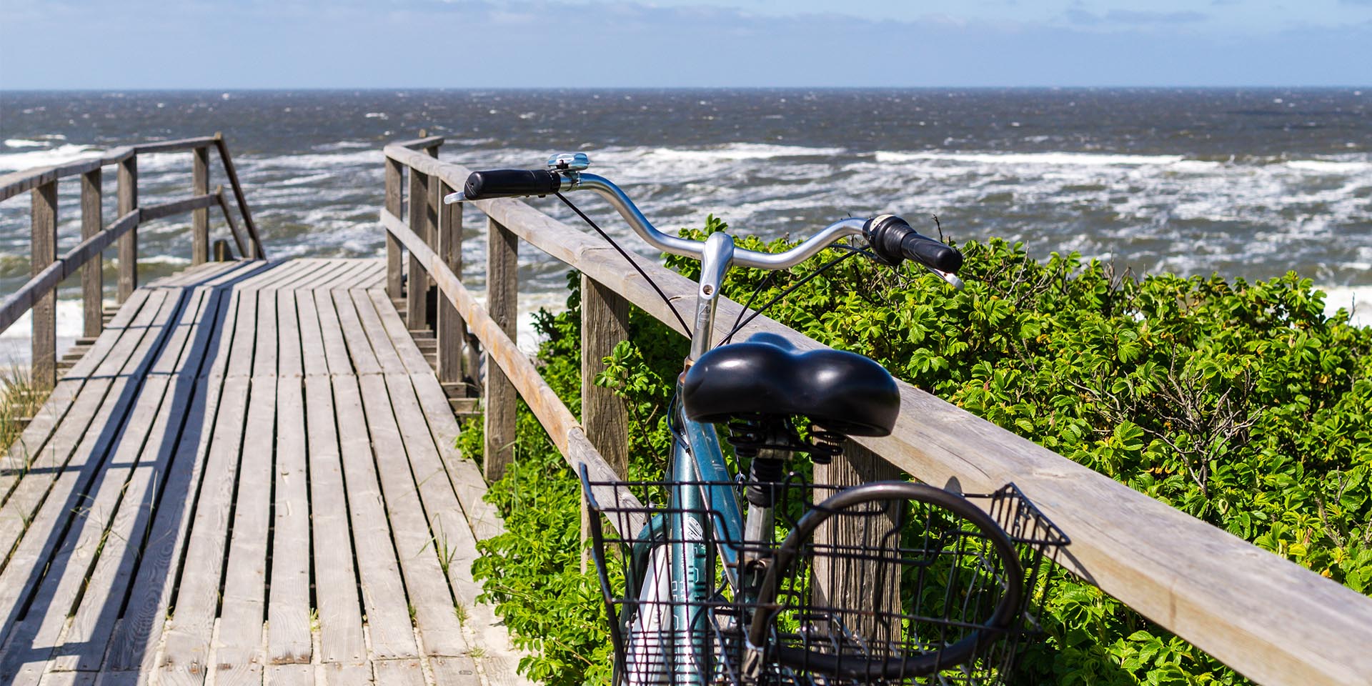 Auf Rügen gibt es wunderbare Rad-und Laufstrecken zu entdecken. © Shutterstock, Animaflora PicsStock