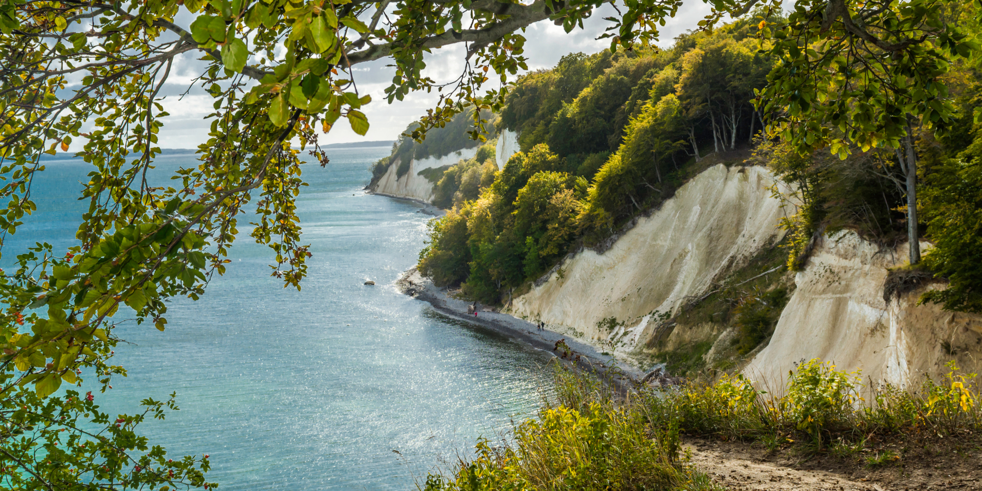 Rügen ist reich an Naturschutzgebieten und Nationalparks.