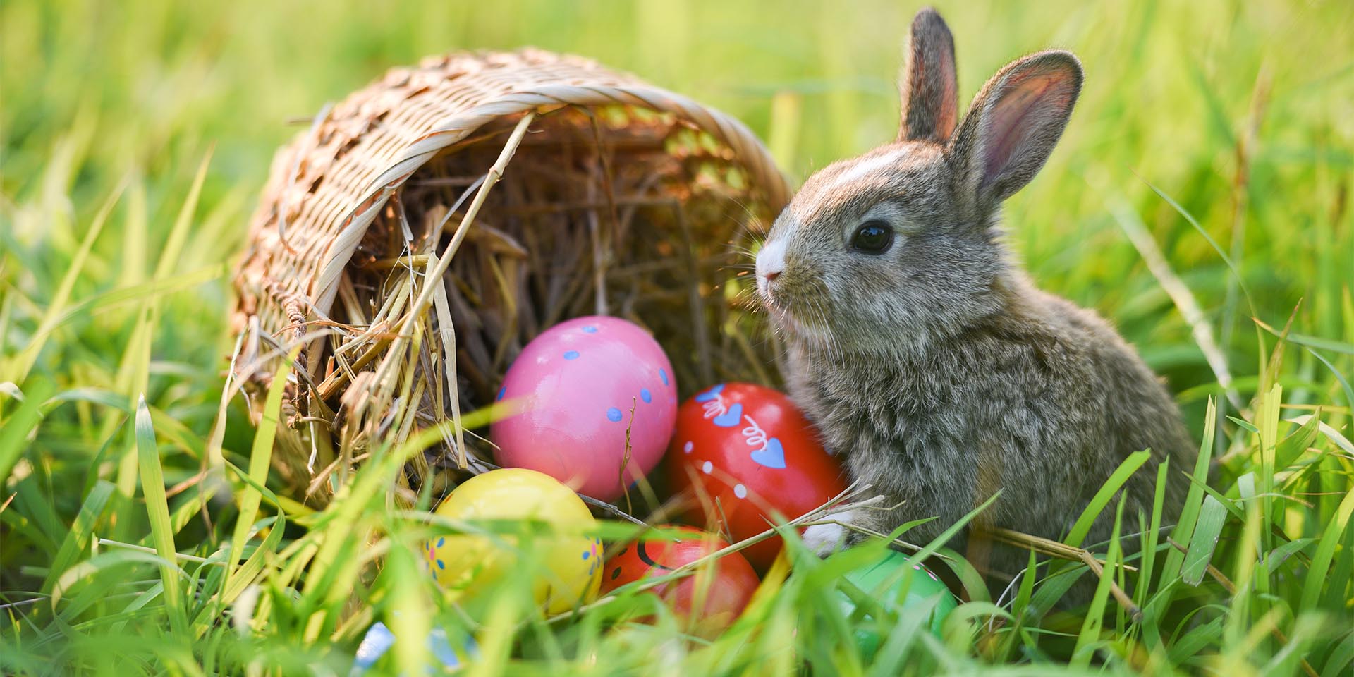 Der Osterhase gehört zum Osterfest ganz einfach dazu. © Shutterstock, Poring Studio