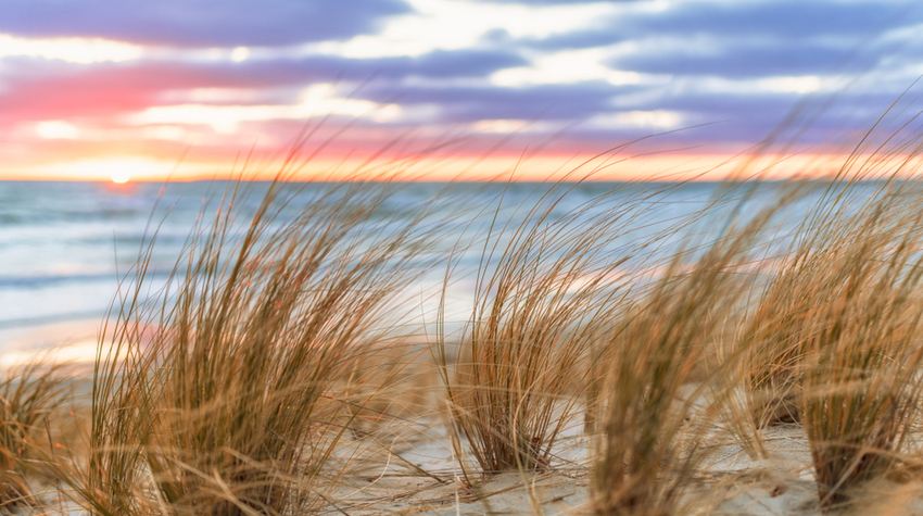 Der Strand Lobbe ist für Naturliebhaber ein Paradies.© Shuterstock, stylefoto24