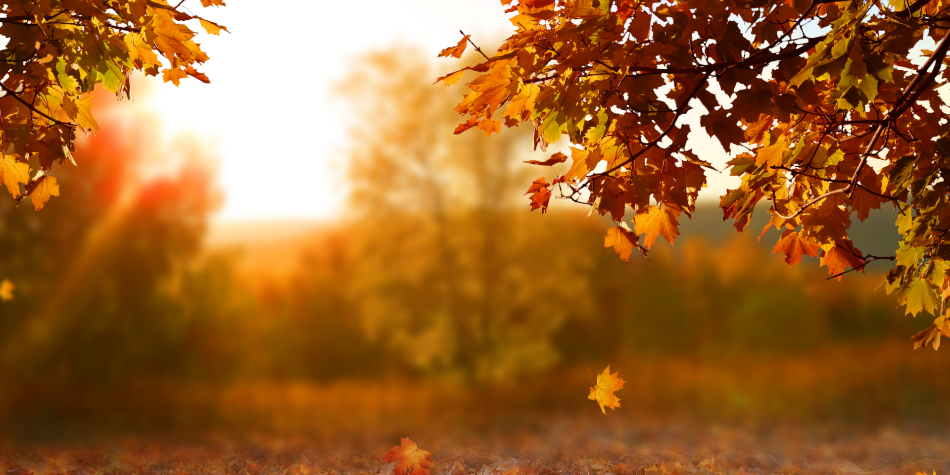 Beim Herbstfest auf Rügen kommen Groß und Klein auf ihre Kosten. © Shutterstock, LilKar