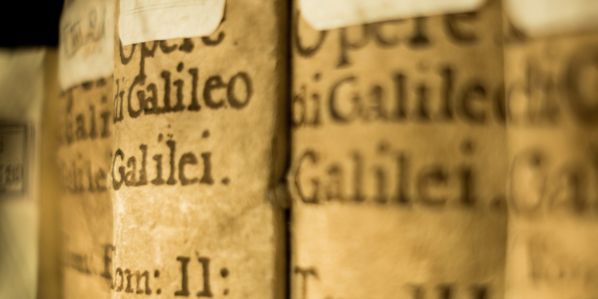 Entdeckt in der Galileo Wissenswelt neben Dinoeiern viele weitere spannende Dinge. © Shutterstock, davide bonaldo