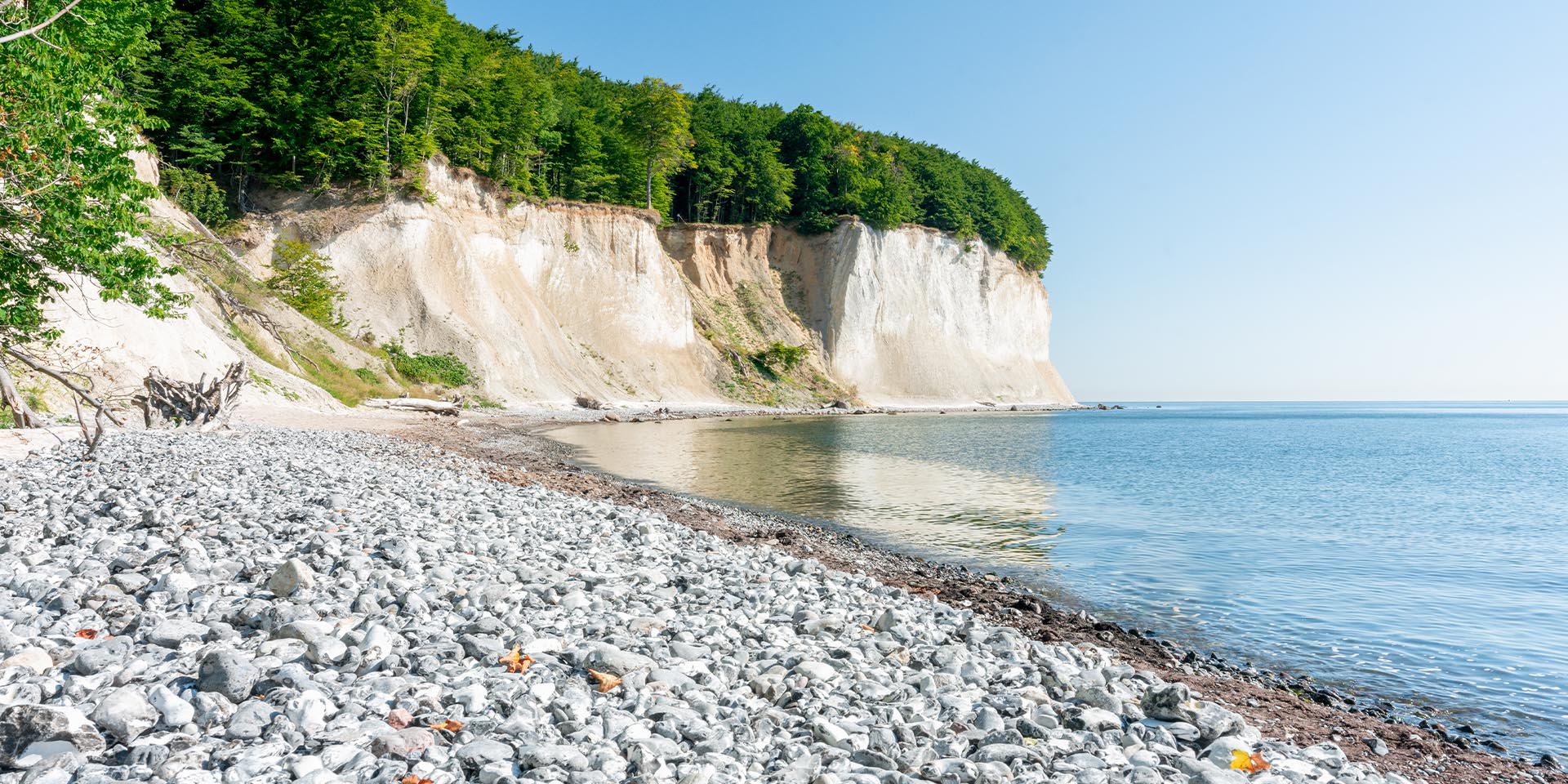Imposant: die Kreidefelsen bei uns auf Rügen. © Shutterstock, mapman