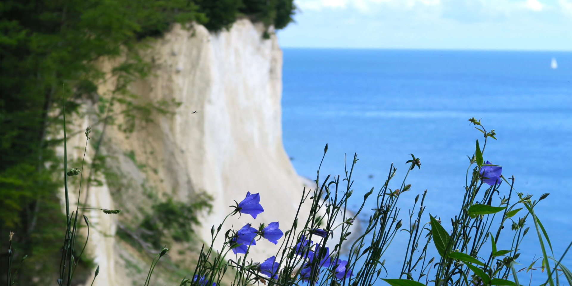 © Shutterstock, Anny Lie