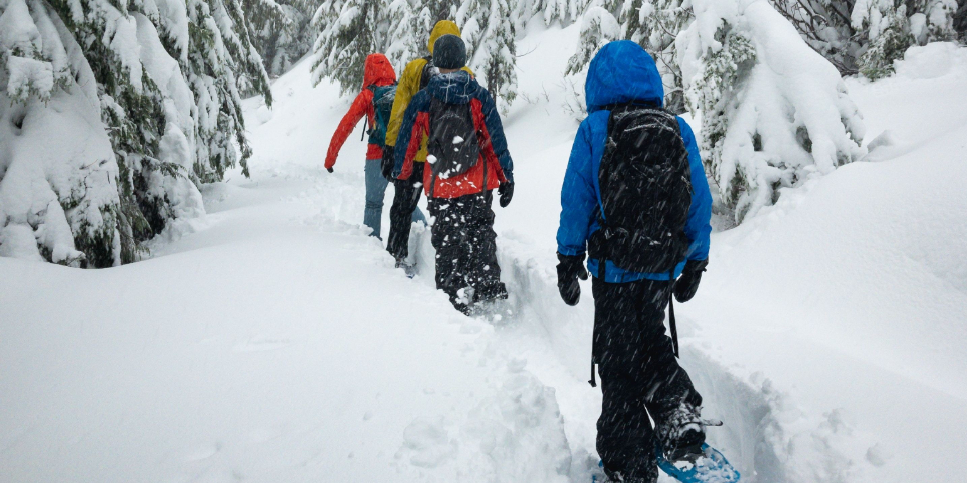 Bei uns bekommt ihr wertvolle Tipps rund ums Schneeschuhwandern. © Unsplash, Greg Rosenke
