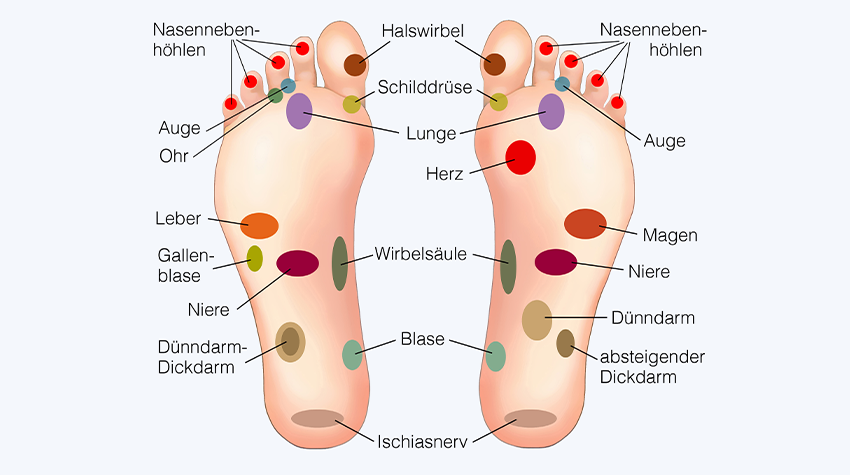 Grafik für eine Fußreflexzonenmassage mit der Einteilung der Füße in verschiedene Reflexzonen. © Adobe Stock, Henrie