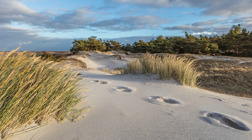 Fußspuren einer Person nach einer Fußreflexzonenmassage im Sand auf Rügen. © Adobe Stock, haiderose