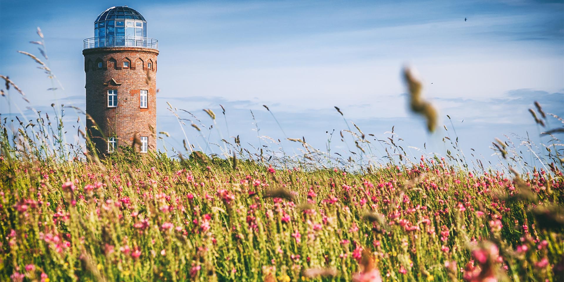 Der Leuchtturm auf Kap Arkona und die blühende Natur auf Rügen © Adobe Stock, refresh(PIX)