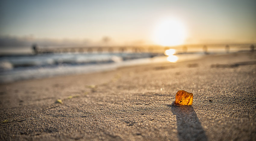 Bernstein auf Rügen am Strand, angestrahlt von der Sonne. © Adobe Stock, Patrick